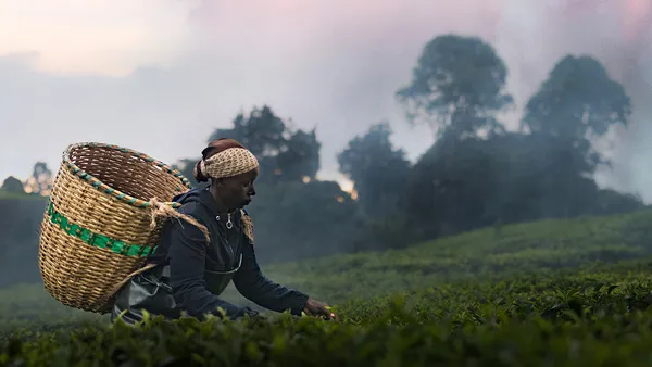 Kikuyu Land